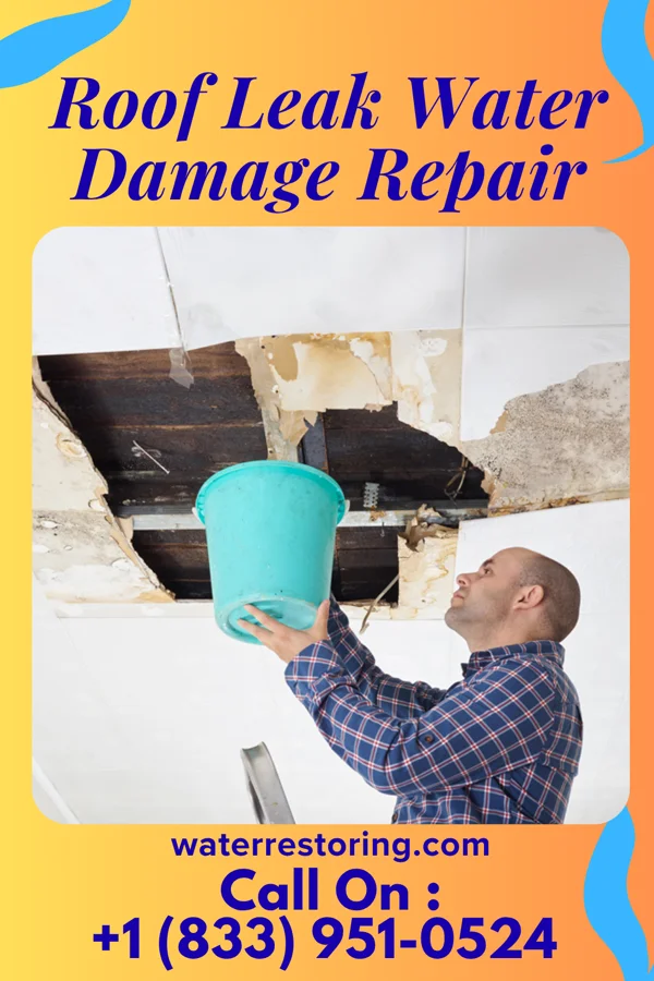 Roof Leak Water Damage Repair in Pioneer Junction, MT